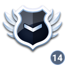 rank 14 icon